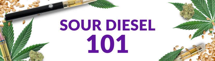 Sour Diesel 101