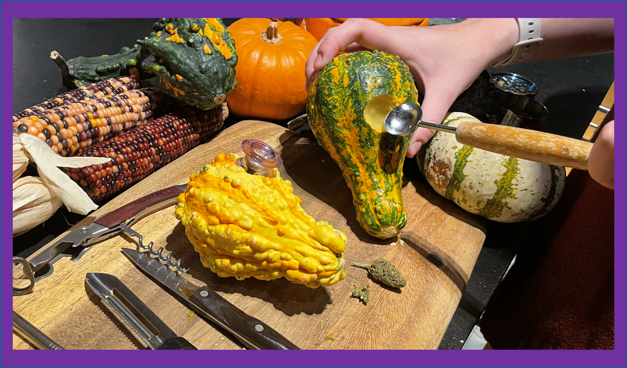 Gourd 3