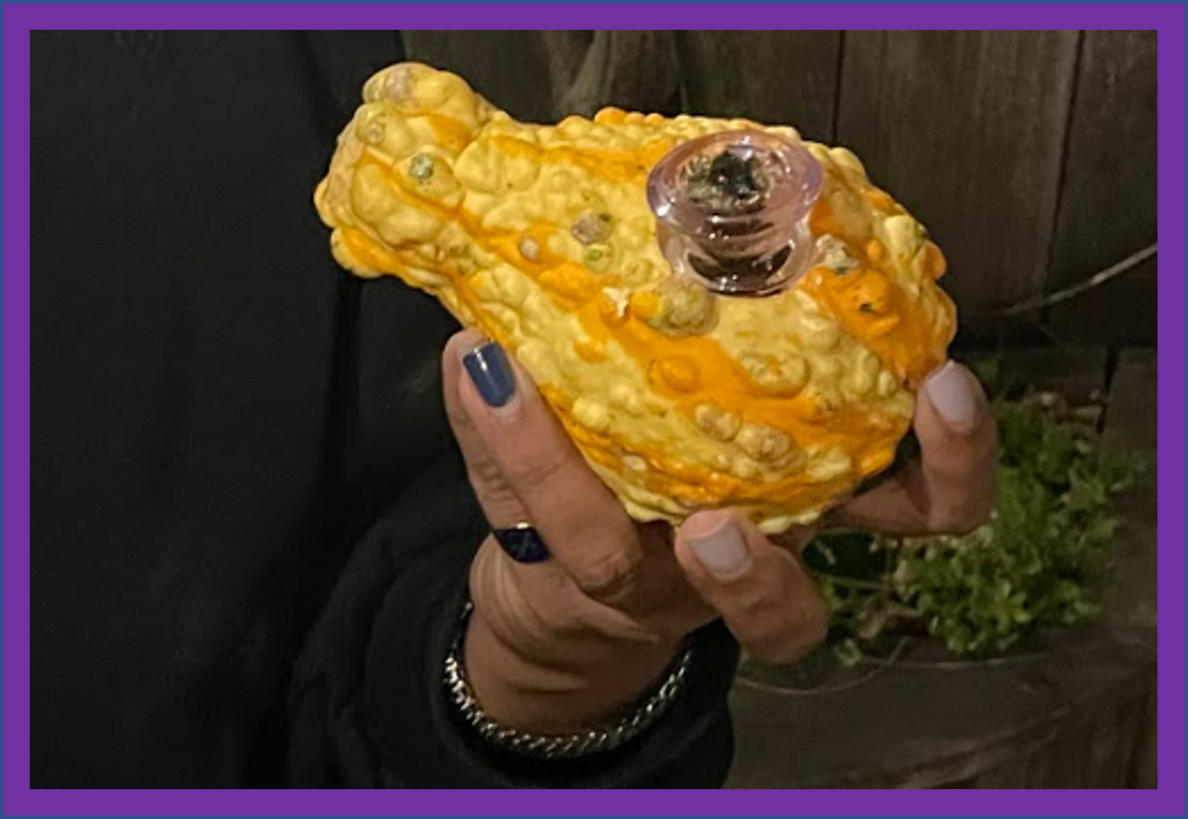 Gourd 4
