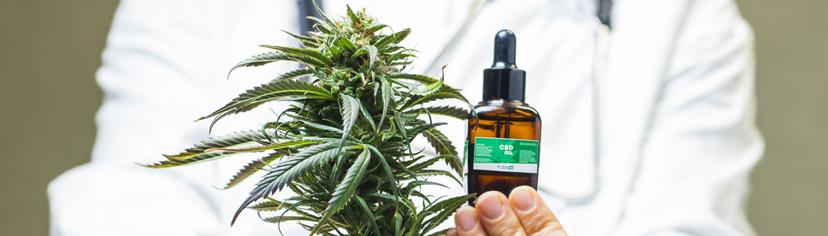 Cannabis ER Physician