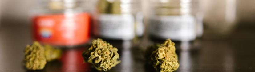 Different Strains