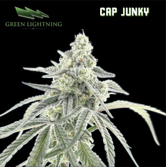 (GL) Cap Junky | 7g