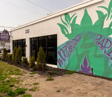 NJ ANJA Weed Fest returns for third 420 cannabis celebration